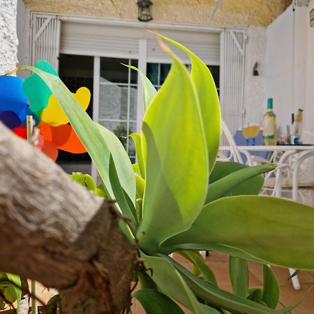 San Antonio - Beach, Pool And Terrace Τορρεμολίνος Εξωτερικό φωτογραφία
