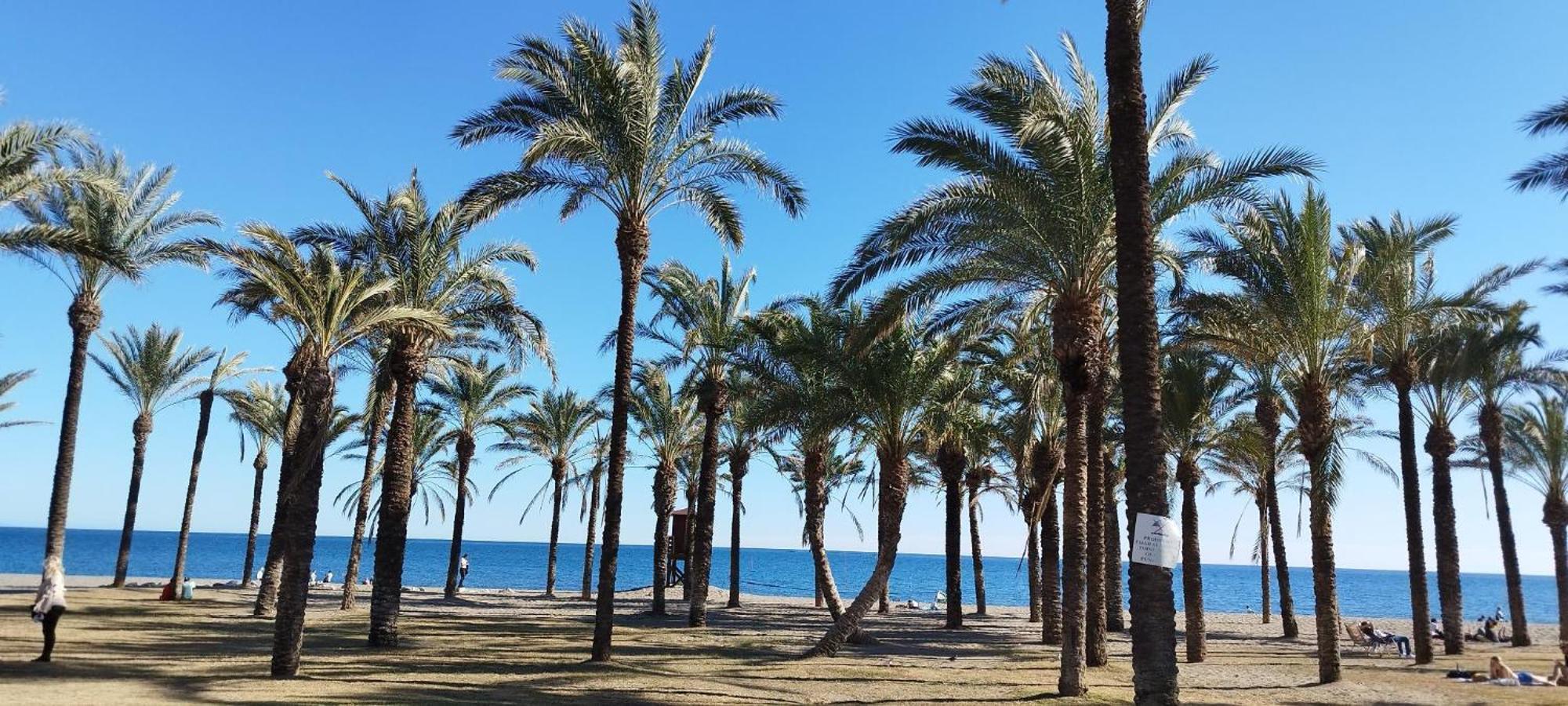 San Antonio - Beach, Pool And Terrace Τορρεμολίνος Εξωτερικό φωτογραφία
