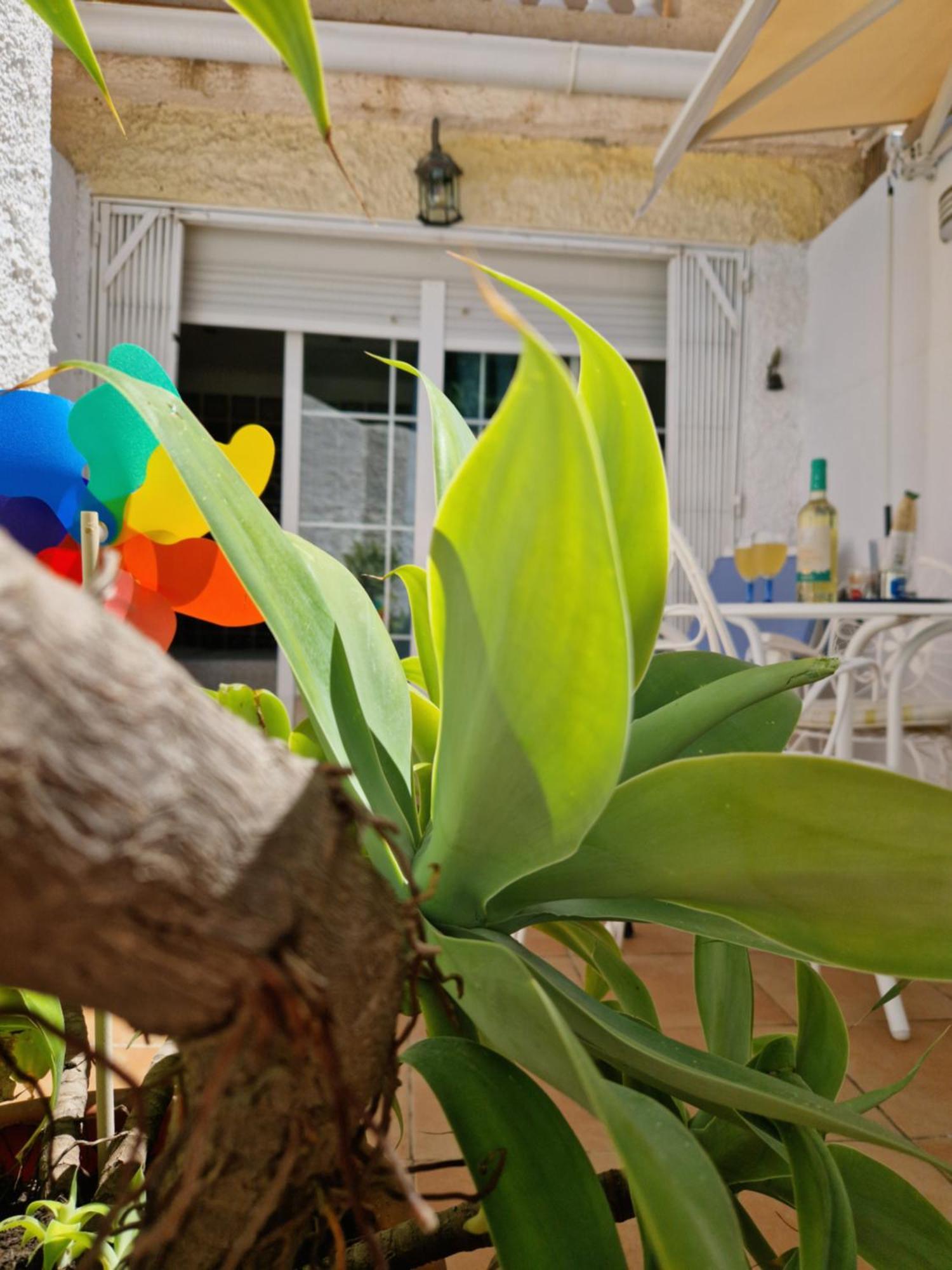 San Antonio - Beach, Pool And Terrace Τορρεμολίνος Εξωτερικό φωτογραφία